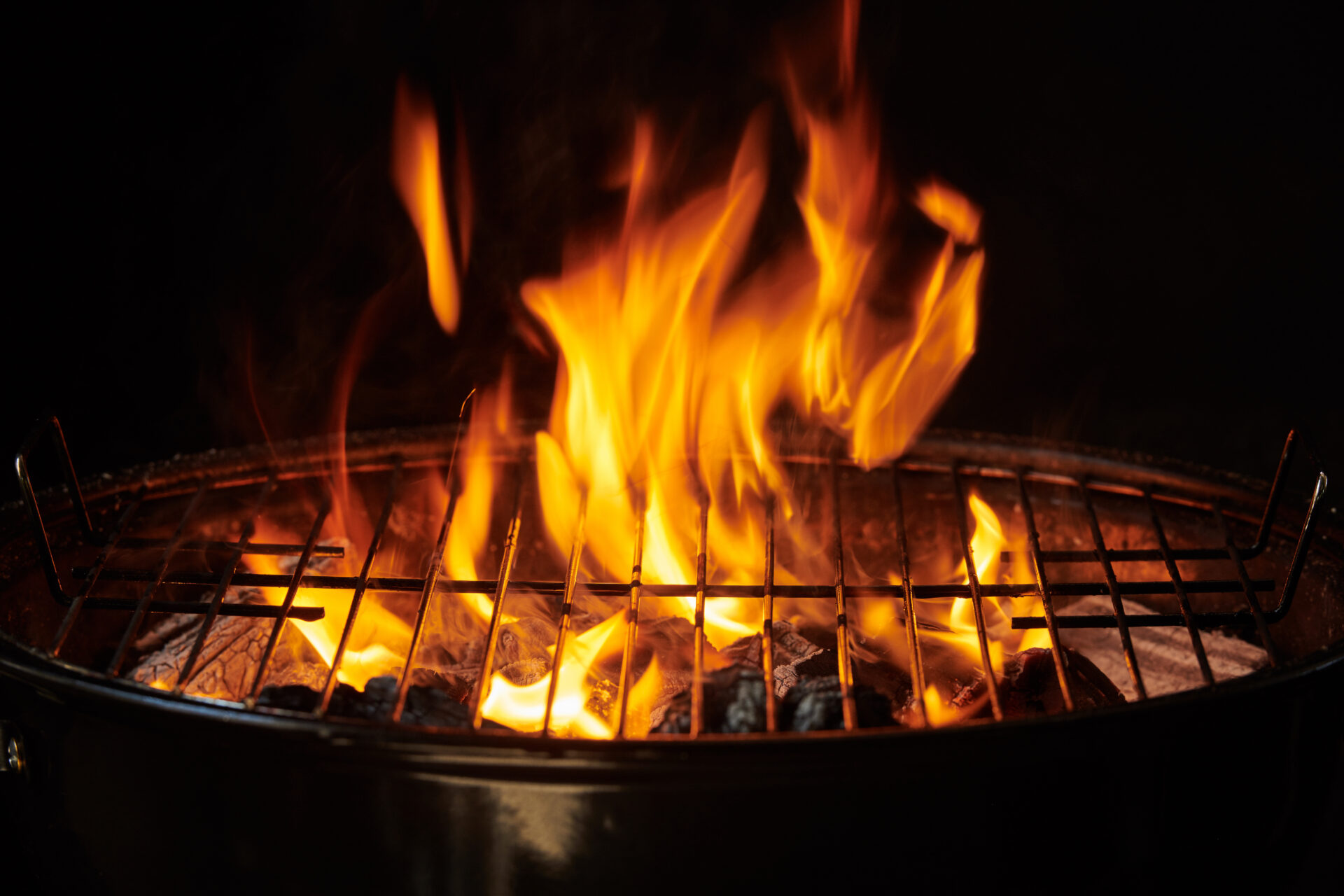https://carnivore-x.co.il